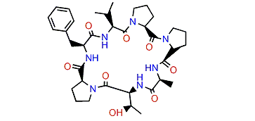 Euryjanicin B